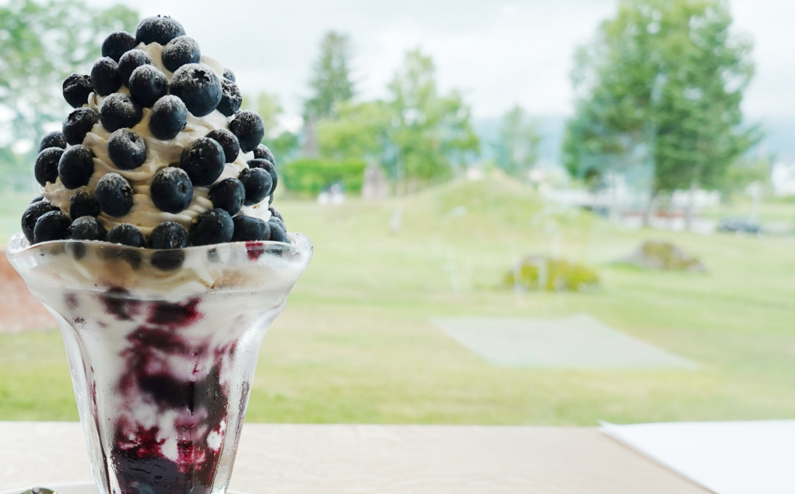 [先行受付] 北海道 仁木町産 有機栽培ブルーベリー 500g（サイズ混合） 果物 くだもの フルーツ 果実 生ブルーベリー 国産 国産ブルーベリー 日本産 [しろうさファーム]