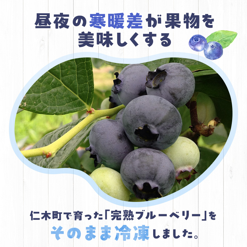 峠のふもと紅果園の冷凍ブルーベリー約1.5kg（500g×3）サイズ混載 果物 くだもの 加工食品 フルーツ ブルーベリー [峠のふもと紅果園]
