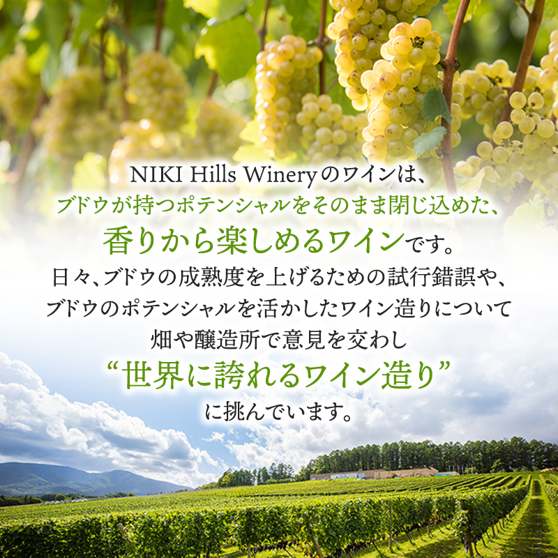 NIKI Hills Winery 白ワイン 【 HATSUYUKI 】 750ml ワイン 洋酒 お酒 アルコール ブドウ ぶどう 辛口 [株式会社NIKI Hillsヴィレッジ]