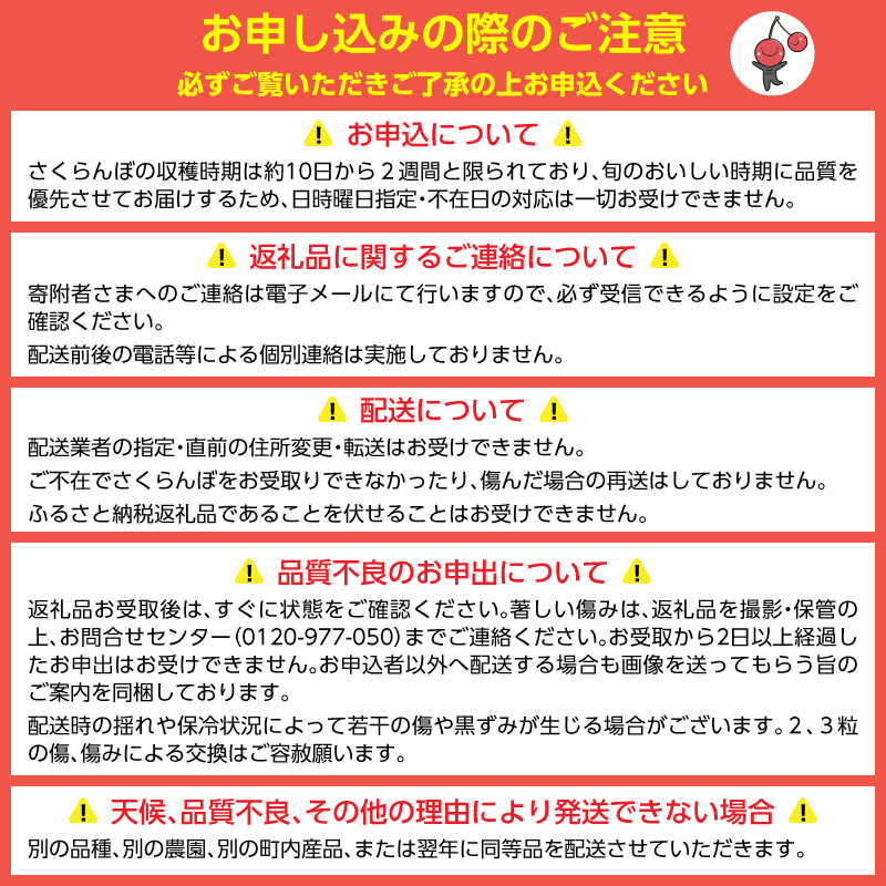 先行受付 北海道 仁木町産 さくらんぼ 南陽 600g（300g×2パック） 北海道知事賞受賞農園 デザート スイーツ 最優秀賞 おすすめ 美味しい サクランボ チェリー フルーツ 果物 果物類 仁木町 仁木 [端農園]