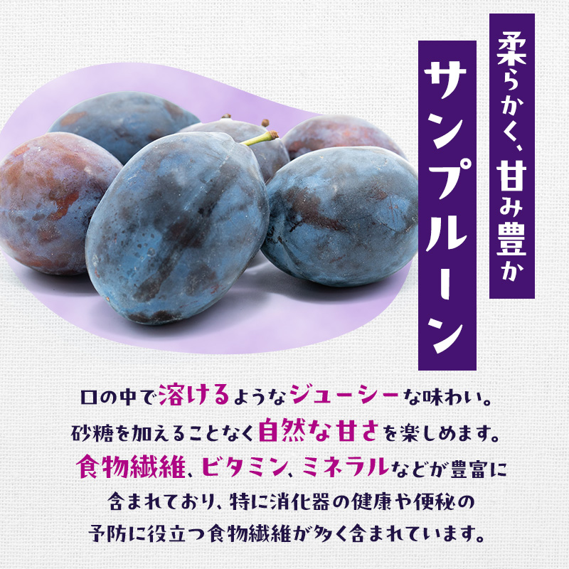 [先行受付/2026年] 仁木町の採れたて「サンプルーン」1kg（500g×2）サイズ混載 北海道 仁木 果物 くだもの フルーツ プルーン 果物詰合せ セット 高糖度 [フルーツショップ妹尾観光農園]