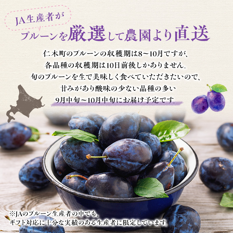 [先行受付] 北海道 仁木町産 季節のプルーン 800g（400g×2パック） プルーン 果物 くだもの フルーツ 果物類 詰合せ [JA新おたる]