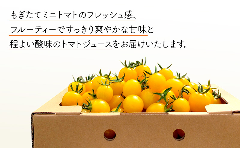 北海道 仁木町産 高糖度 ミニトマトジュース 180ml×10本 [エコスイートレモン(新品種)×5本][エコスイート×5本] 無塩・無糖・保存料無添加 栽培期間中農薬・化学肥料・除草剤不使用【2025年産】 [Farm Watanabe]