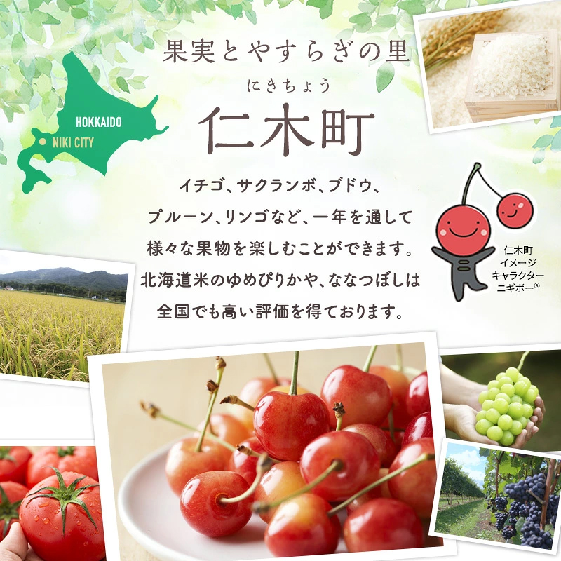 [2026年発送] 農園のフレッシュりんごジュース 1L×6本 北海道