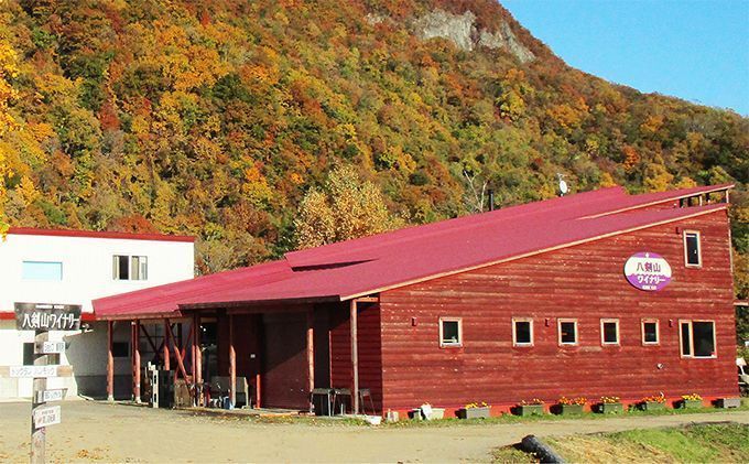 kanonzすぱあくりんご「 シードル 」720ml×1本 お酒 シャンパン スパークリングワイン 発泡酒 アルコール ワイン りんご リンゴ ご褒美 お祝 記念日 [株式会社八剣山さっぽろ地ワイン研究所]