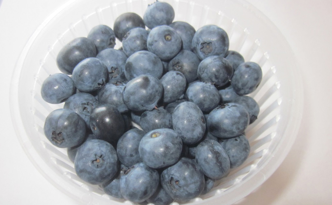 [先行受付] 農園の加工用 ブルーベリー 約2kg サイズ混載 北海道 仁木町産 果物 果物類 フルーツ 仁木 [小林信幸]