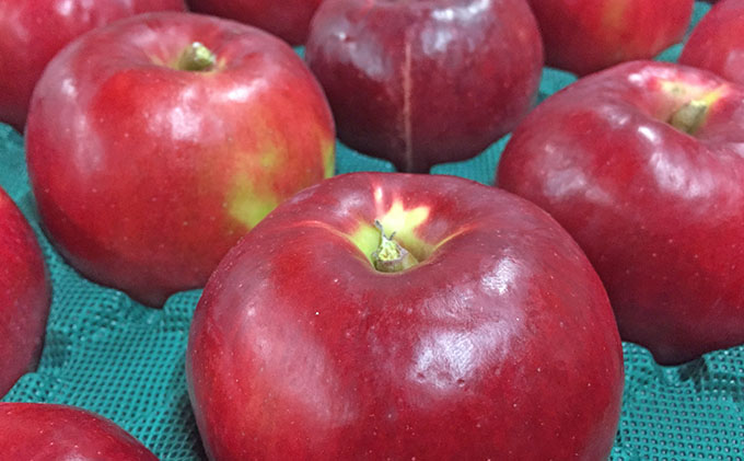 峠のふもと紅果園の完熟！リンゴジュース710ml×6本セット 飲料類 果汁飲料 りんご 林檎 ジュース [峠のふもと紅果園]