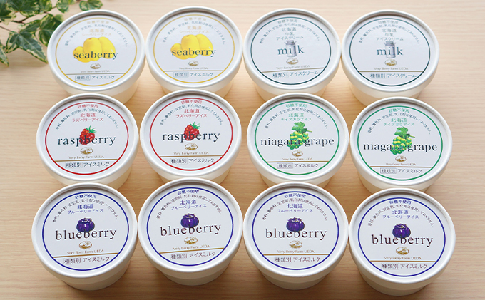 砂糖不使用 こだわりの北海道アイス 90ml×12個セット ブルーベリー ラズベリー シーベリー 牛乳 ナイアガラ お菓子 果物 アイス 冷凍 [株式会社　自然農園]