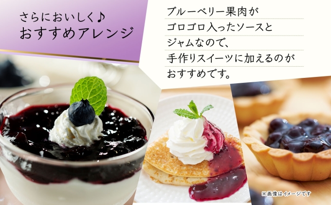 北海道産 ブルーベリーソース 200g 1本 ブルーベリージャム 180g 2個セット ジャム瓶 ブルーベリー 詰め合わせ 果物 自然農園 お取り寄せ ギフト 産地直送 のし 仁木町
