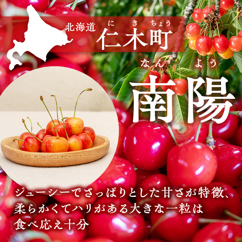 先行受付 さくらんぼ【 南陽 】800g（200g×4）L-LLサイズ混合 サクランボ チェリー フルーツ 果物 果物類 ギフト 北海道 仁木町 仁木 [横山農園]