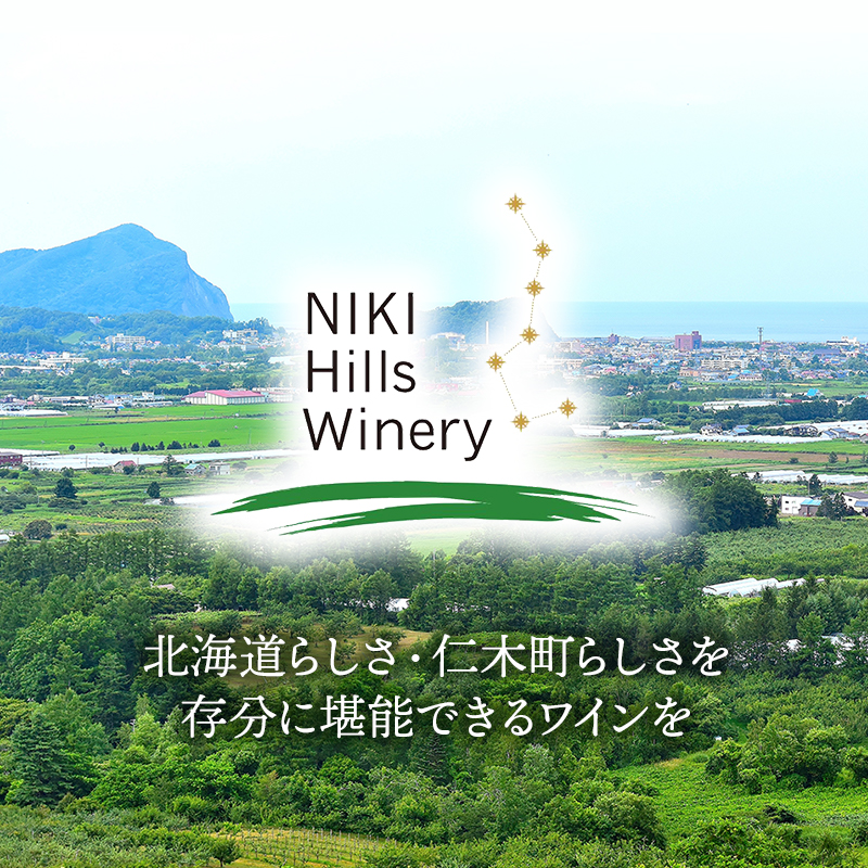 NIKI Hills Winery 白ワイン 【 HATSUYUKI 】 750ml ワイン 洋酒 お酒 アルコール ブドウ ぶどう 辛口 [株式会社NIKI Hillsヴィレッジ]