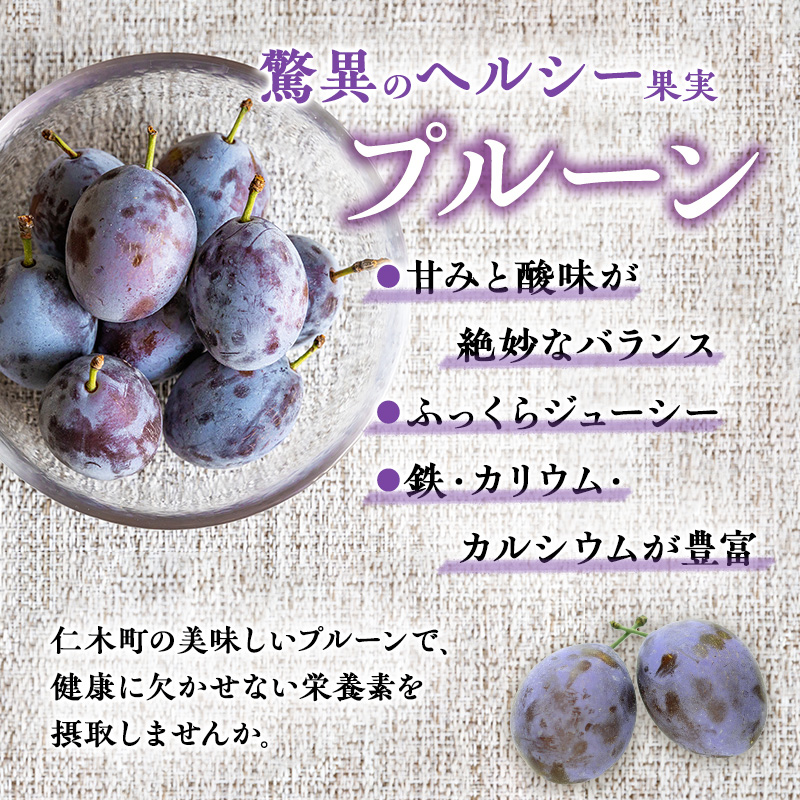 [先行受付] 【9月後半～10月発送】北海道 仁木町産 おすすめプルーン1.6kg（400g×4パック） 果物類 果物 くだものフルーツ 果物詰合せ プルーン [和田農園]