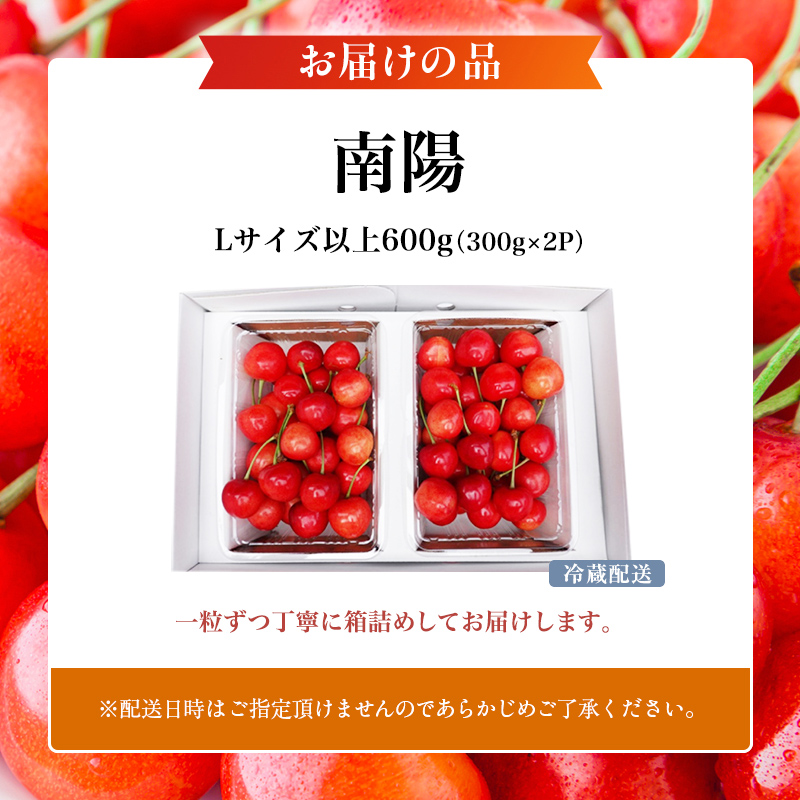 先行受付 北海道 仁木町産 さくらんぼ 南陽 600g(300g×2パック)　Lサイズ以上 旬 桜桃 産地直送 サクランボ チェリー フルーツ 果物 果物類 仁木町 仁木 [松山商店]