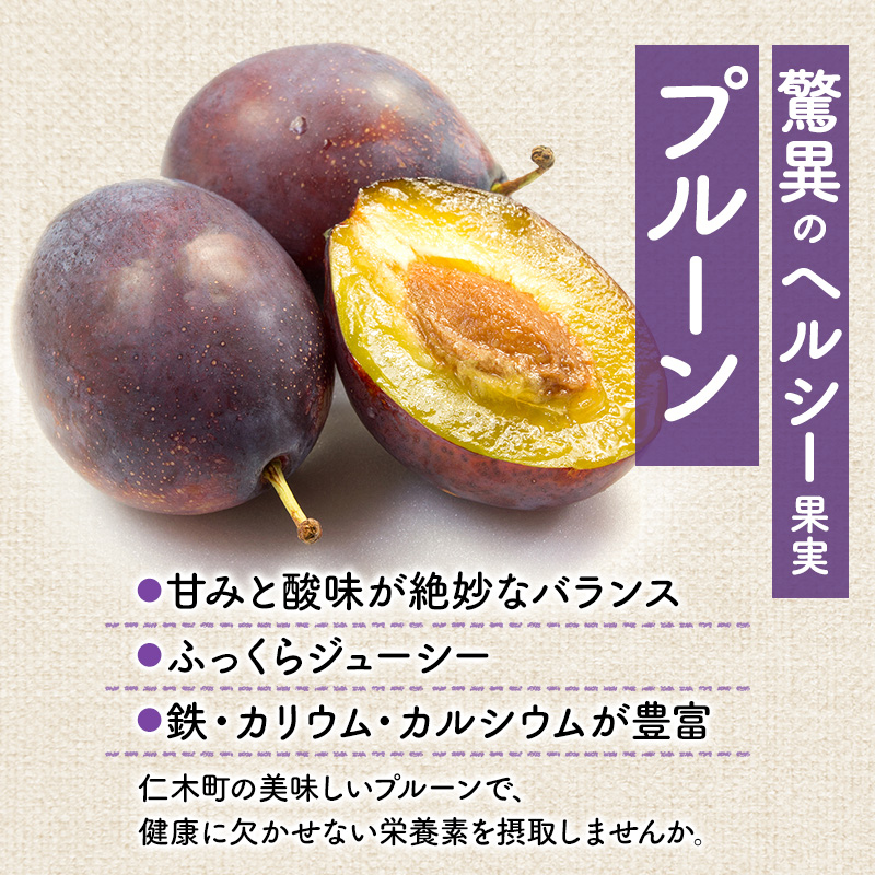 [先行受付] 9月お届け 北海道 仁木産 フレッシュ プルーン 約2kg （サイズ混合）品種 おまかせ 果物 くだもの フルーツ [峠のふもと　紅果園]