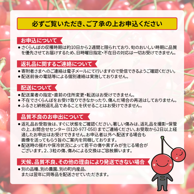 [先行受付] 数量限定 北海道 仁木町産 甘く色鮮やか さくらんぼ 佐藤錦 600g L～2Lサイズ 低農薬 有機肥料 高級品種 大人気 甘い サクランボ チェリー フルーツ 果物 果物類 仁木町 仁木 [鶴田農園]