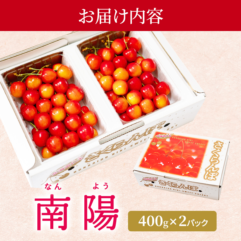 先行受付 北海道 仁木町産 さくらんぼ 南陽 400g×2P Lサイズ サクランボ チェリー フルーツ 果物 果物類 仁木町 仁木 [林果樹園]