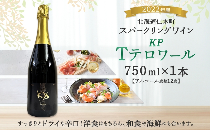 北海道産 スパークリング ワイン 750ml 1本 KPワイン Tテロワール ぶどう ナイアガラ 葡萄 ブドウ 白ワイン 辛口 酒 お酒 贈答 贈り物 お祝い ギフト 記念日 送料無料