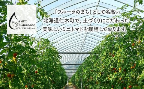 ミニトマトジュース(北海道 仁木町産 ミニトマト[エコスイート]100%) 1L×2本 無塩・無糖・保存料無添加【栽培期間中 農薬・化学肥料不使用 】野菜飲料 野菜 やさい トマト ジュース [Farm Watanabe]