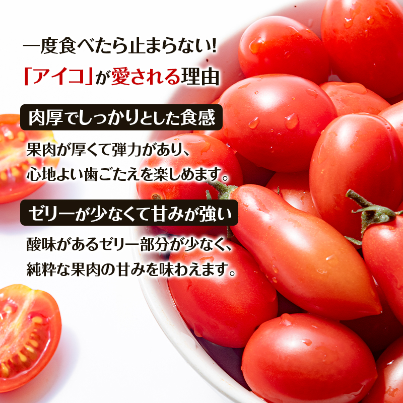 8月発送開始[2026年発送] 超完熟ミニトマト【 アイコ 】2kg（1