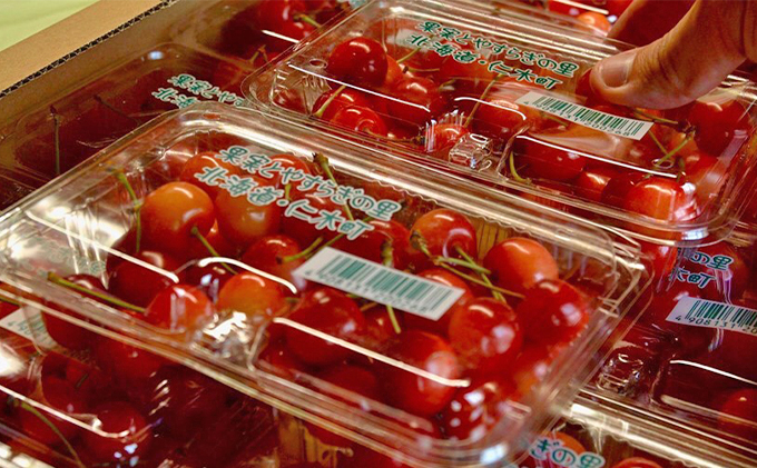 北海道 仁木町産 農業ママの加工用さくらんぼ 水門 2kg (1kg×2)   サクランボ チェリー フルーツ 果物 果物類 仁木町 仁木  [トマップファーム]