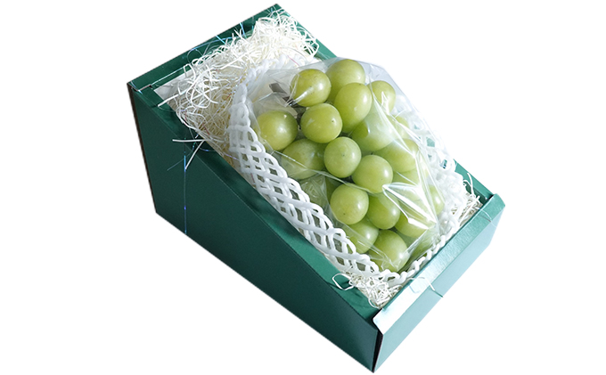 [先行受付] 厳選 北海道 仁木町産 シャインマスカット 1房 約600g 果物 ぶどう フルーツ 果物類 ブドウ シャインマスカット マスカット [和田農園]