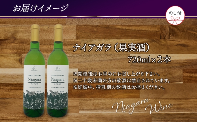 無地熨斗 ナイアガラ ブドウ ワイン 720ml 2本 セット 熨斗付き 葡萄 ぶどう 果実酒 お酒 アルコール 白ワイン 辛口 お取り寄せ ギフト gift ボトル 紙箱 御中元 お中元 熨斗 のし