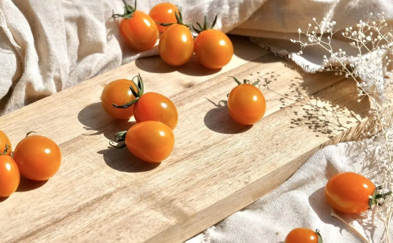 [野菜ソムリエサミット金賞・銀賞] ミニトマト 詰め合わせ 1kg ピッコラカナリア ・ キャロルスター 各500g 北海道仁木町産 野菜 やさい トマト おやつ セット お楽しみ [3N株式会社]