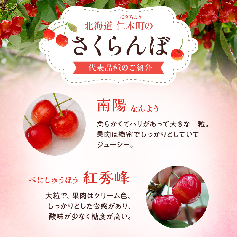 先行受付 北海道 仁木町産 贈答用 さくらんぼ 【 紅秀峰 】 桐箱入 2L～3Lサイズ 500g 果物類 フルーツ サクランボ チェリー  [嶋田茂農園匠]