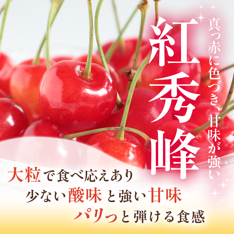 [先行受付] さくらんぼ 紅秀峰 2Lサイズ 以上1kg（500g×2パック）化粧箱入 サクランボ チェリー フルーツ 果物 果物類 ギフト 贈答品 北海道 仁木町 仁木 [小林信幸]
