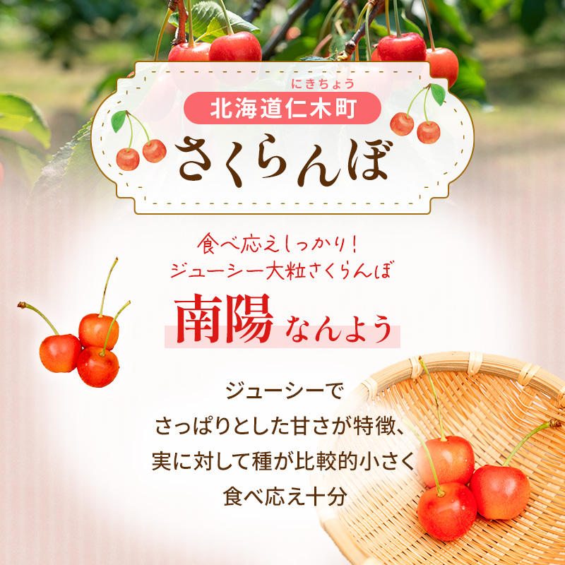 先行受付 さくらんぼ 南陽 800g（200g×4）L-LLサイズ混合 サクランボ チェリー フルーツ 果物 果物類 北海道 仁木町 仁木 [大塚農園]