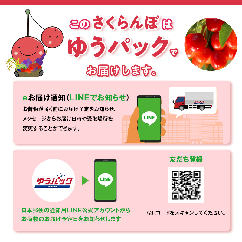 [先行受付] 数量限定 北海道 仁木町産 果肉がプリ しっかり大粒 甘い さくらんぼ 紅秀峰 600g Lサイズ以上 リピーター 朝採り 甘み ジューシー サクランボ チェリー フルーツ 果物 果物類 仁木町 仁木 [鶴田農園]