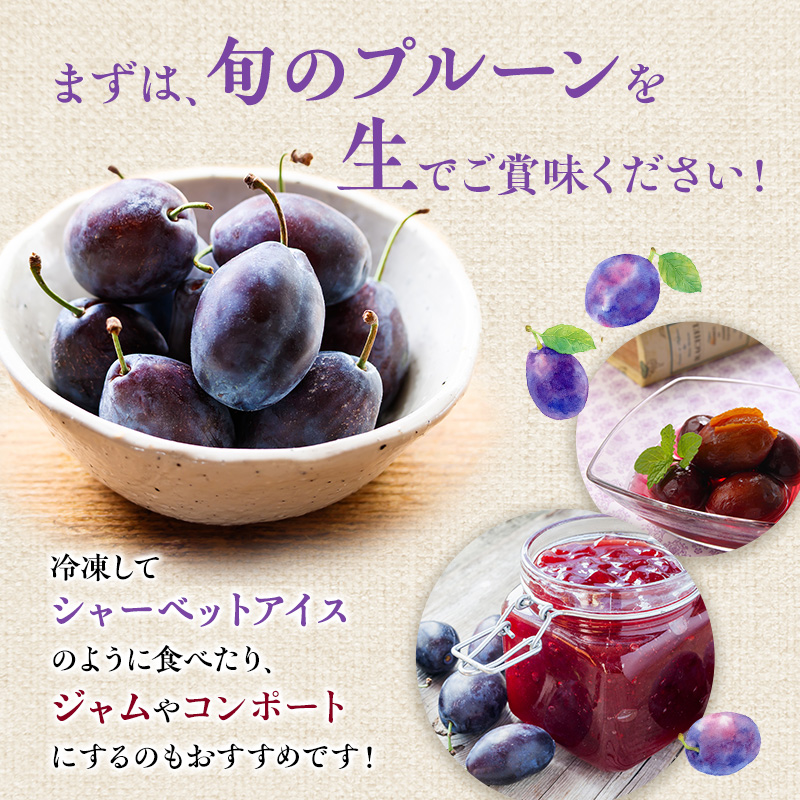 [先行受付] 北海道 仁木町産 季節のプルーン 800g（400g×2パック） プルーン 果物 くだもの フルーツ 果物類 詰合せ [JA新おたる]