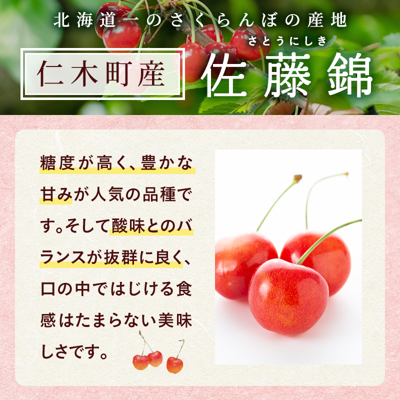先行受付 北海道 仁木町産 さくらんぼ 佐藤錦 300g×2P Lサイズ サクランボ チェリー フルーツ 果物 果物類 仁木町 仁木 [林果樹園]