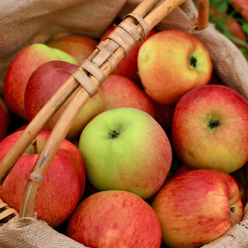 北海道仁木町 寄附のみの応援受付 1,000,000円コース（返礼品なし 寄附のみ100万円） 寄付 支援 応援 北海道 仁木町 [仁木町役場]