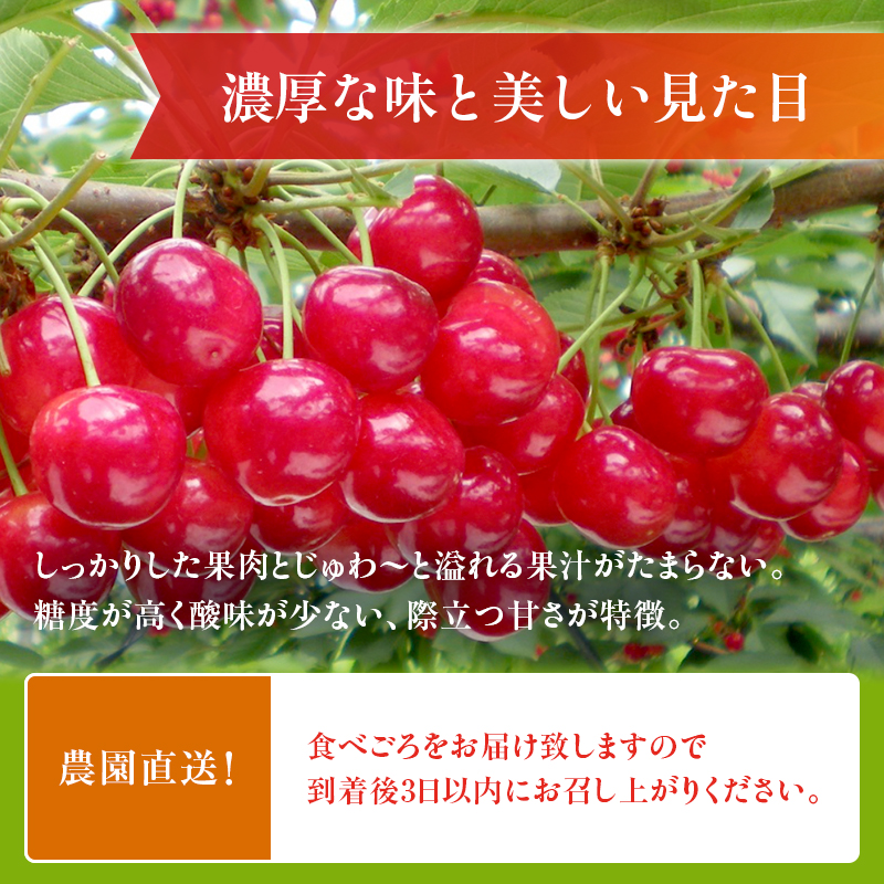 [先行受付] さくらんぼ 紅秀峰 2Lサイズ 以上 300g（300g×1パック） 化粧箱入  サクランボ チェリー フルーツ 果物 果物類 ギフト 贈答品 北海道 仁木町 仁木 [小林信幸]
