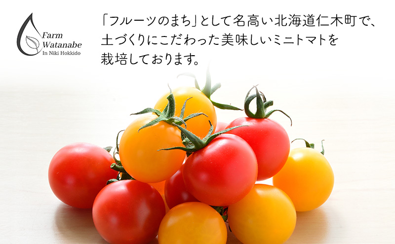 北海道 仁木町産 高糖度 ミニトマトジュース 180ml×10本 [エコスイートレモン(新品種)×5本][エコスイート×5本] 無塩・無糖・保存料無添加 栽培期間中農薬・化学肥料・除草剤不使用【2025年産】 [Farm Watanabe]