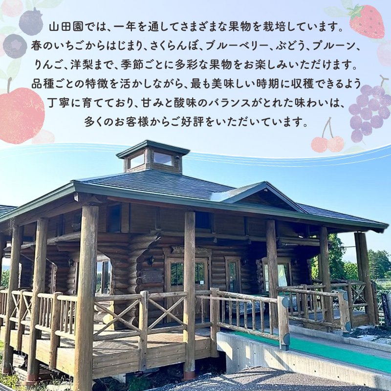 北海道 仁木町産 りんごジュース 720ml×1本 ジャム 3種 （りんご・ブルーベリー・いちご） [ ジュース りんご リンゴ いちごジャム 林檎ジャム ブルーベリー 苺 ]