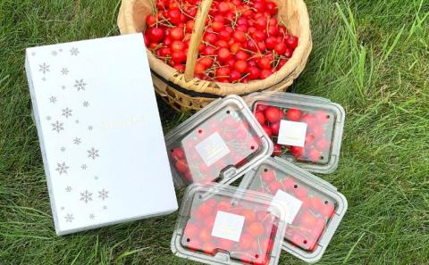 北海道産 紅秀峰 800g (200g×4パック) バラ 秀品 Lサイズ以上　朝採り 当日発送  さくらんぼ サクランボ チェリー フルーツ 果物 果物類 北海道 仁木町 仁木 [株式会社NIKI Hillsファーム]