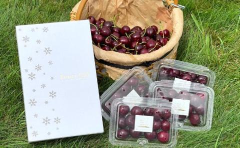 北海道産 サミット800g (200g×4パック) バラ 秀品 Lサイズ以上　朝採り 当日発送 さくらんぼ サクランボ チェリー フルーツ 果物 果物類 ギフト 北海道 仁木町 仁木 [株式会社NIKI Hillsファーム]