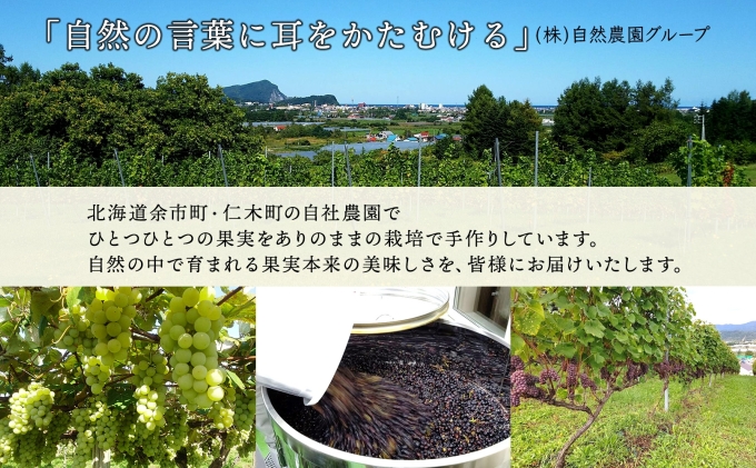 ナイアガラ ブドウ ワイン 720ml 2本 セット 葡萄 ぶどう 果実 果実酒 お酒 アルコール 白ワイン 辛口 お取り寄せ ギフト gift ボトル 紙箱 御中元 お中元 自然農園 北海道 仁木町