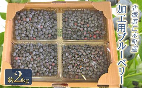 [先行受付] 農園の加工用 ブルーベリー 約2kg サイズ混載 北海道 仁木町産 果物 果物類 フルーツ 仁木 [小林信幸]