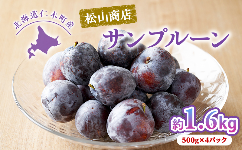 [先行受付] 北海道仁木町産 プルーン 1.6kg（品種：サンプルーン） 厳選品 果物詰合せ フルーツ 果物 くだもの[松山商店]