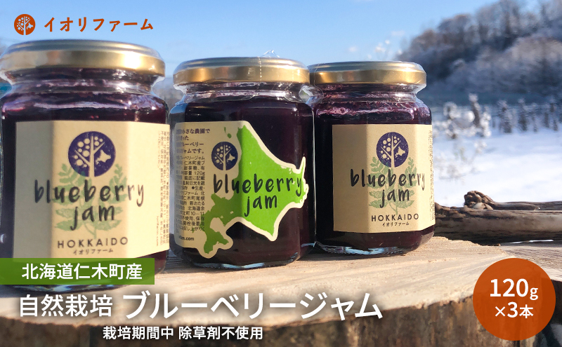 北海道仁木町産 ブルーベリージャム 120g×3本 [iori farm] 栽培期間中 除草剤不使用 果物 詰合せ セット フルーツ
