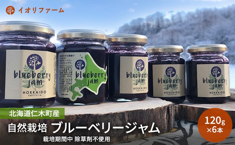 北海道仁木町産 ブルーベリージャム 120g×6本 [iori farm] 栽培期間中 除草剤不使用 果物 詰合せ セット フルーツ