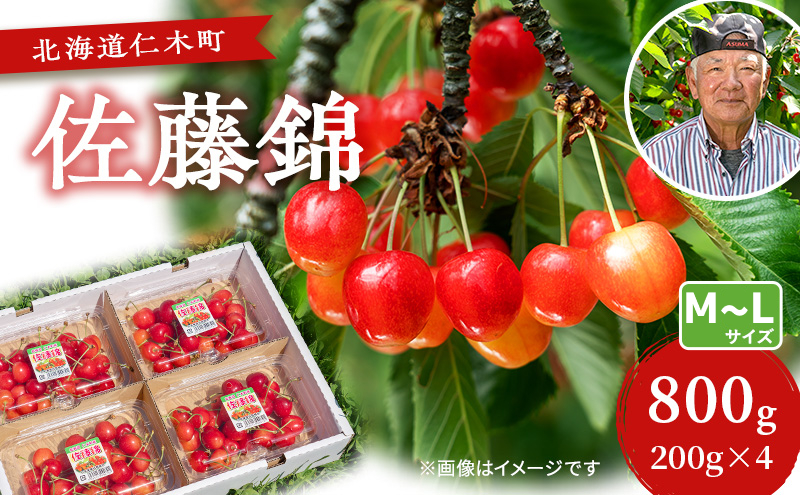 先行受付 さくらんぼ【 佐藤錦 】800g（200g×4）M-Lサイズ混合 サクランボ チェリー フルーツ 果物 果物類 ギフト 北海道 仁木町 仁木 [横山農園]