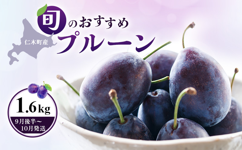 [先行受付] 【9月後半～10月発送】北海道 仁木町産 おすすめプルーン1.6kg（400g×4パック） 果物類 果物 くだものフルーツ 果物詰合せ プルーン [和田農園]