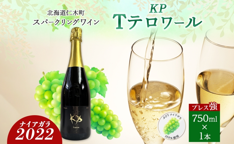 北海道産 スパークリング ワイン 750ml 1本 KPワイン Tテロワール ぶどう ナイアガラ 葡萄 ブドウ 白ワイン 辛口 酒 お酒 贈答 贈り物  お祝い ギフト 記念日 送料無料: 仁木町ANAのふるさと納税