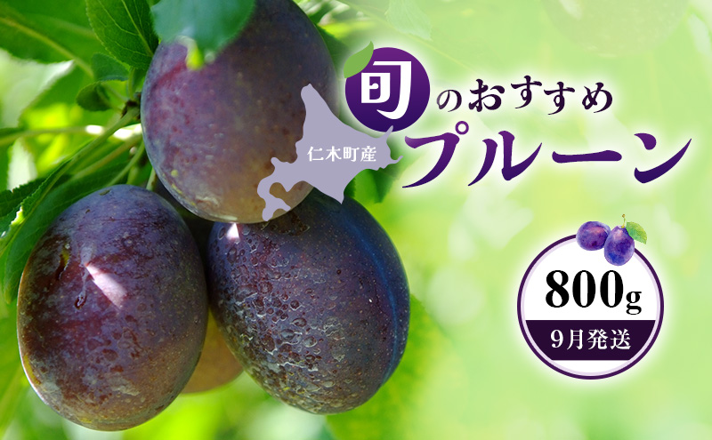 [先行受付]【9月発送】北海道 仁木町産 おすすめ プルーン 800g（400g×2パック） 果物類 果物 くだもの フルーツ 果物詰合せ [和田農園]