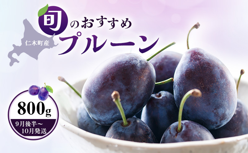 [先行受付]【9月後半～10月発送】北海道 仁木町産 おすすめ プルーン 800g（400g×2パック） 果物類 果物 くだもの フルーツ 果物詰合せ [和田農園]