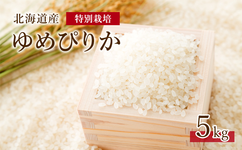 北海道 仁木町産 紅果園の産直米 特別栽培 ゆめぴりか 5kg お米 米 ご飯 ごはん こめ コメ 精米 白米 弁当 おにぎり[峠のふもと紅果園]